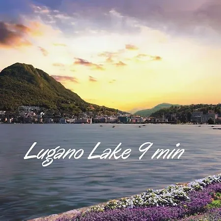 Romantic Loft With Outside Swimming Pool, 400m From Station Apartment Lugano